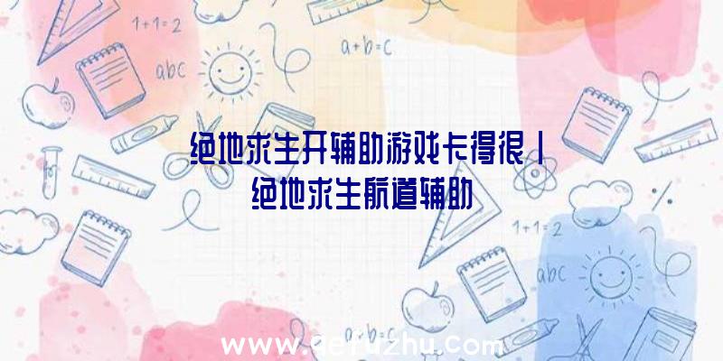 「绝地求生开辅助游戏卡得很」|绝地求生航道辅助